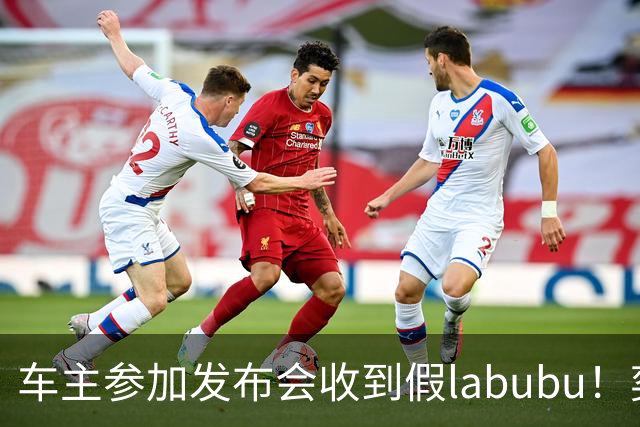 车主参加发布会收到假labubu！奕境总经理：我们的错 申请采购1万件正品当礼品